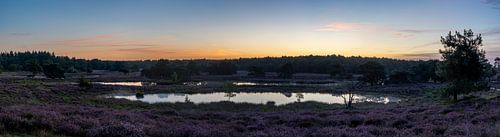 Panoramic sunrise over the Quin near Afferden