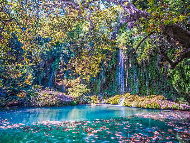 Under the Trees Beautiful View of Kursunlu Waterfall by Nature Life Ambience