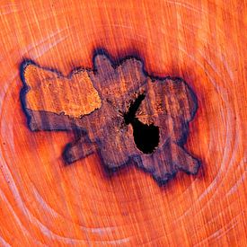 De kern van een boomstam, met groeiringen. van Marian Klerx