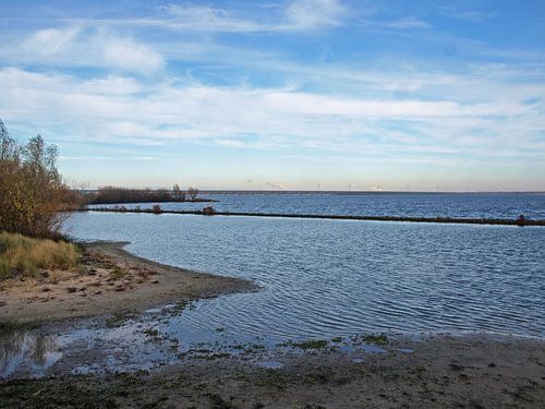 Vue du Haringvliet