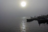 Mistige haven van Oude Wetering