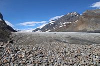 Athabasca glacier Canada