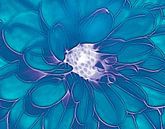 So Blue (Blauwe Dahlia Art) van Caroline Lichthart thumbnail