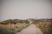 Domburg water tower