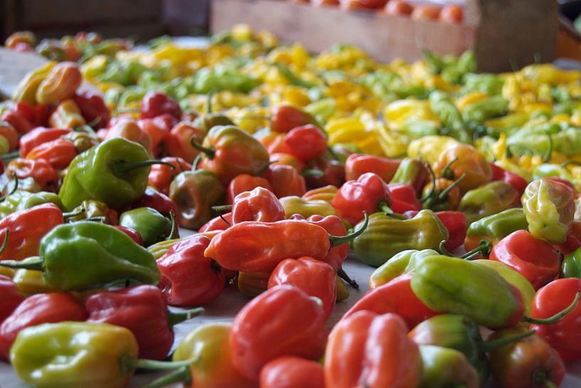 Surinaamse peper van Paul Riedstra