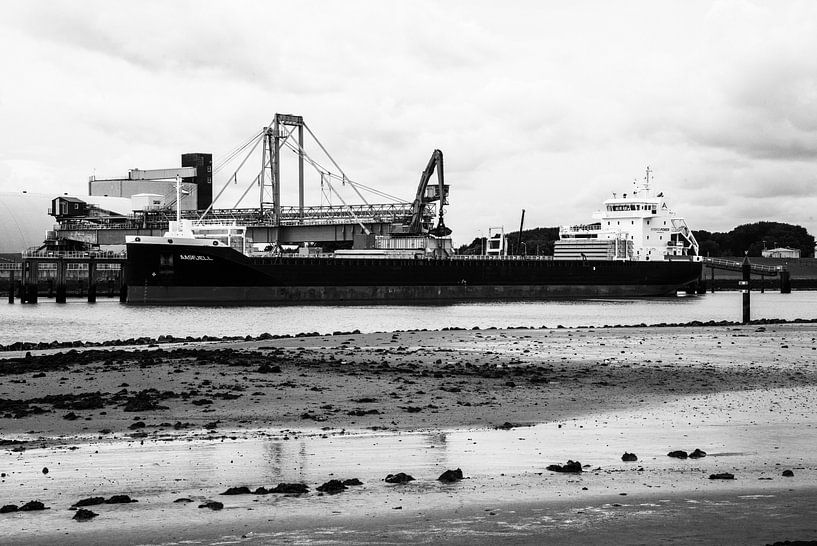 Zeeschip in Delfzijl van scheepskijkerhavenfotografie