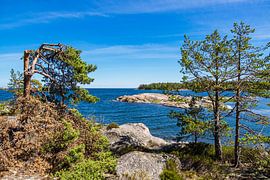Côte de la mer Baltique avec rochers et arbres sur l'île de Hasselö