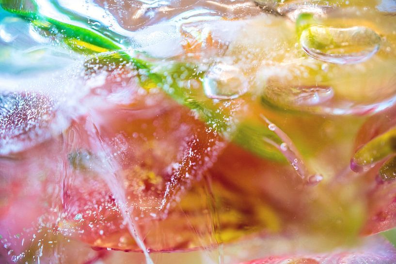 Frozen Flowers, kleurrijke bloemen bevroren in ijs  van Loes van Dijk