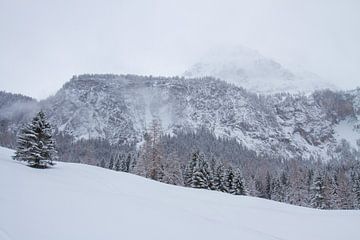 Lermoos Österreich von Jeroen Meeuwsen