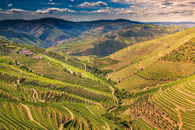 Douro by Antwan Janssen