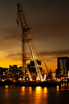 The golden port