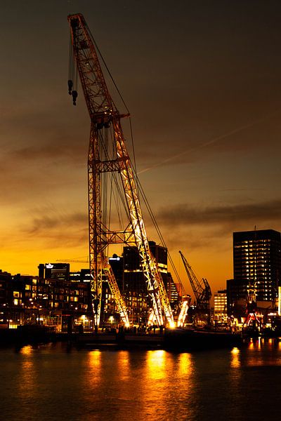The golden port by Bart Houtman