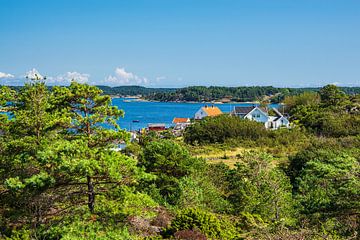 Uitzicht over het eiland Merdø voor de stad Arendal in Noorwegen van Rico Ködder