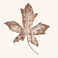 Amber