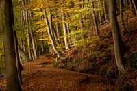 Herfst op de Sint Jansberg