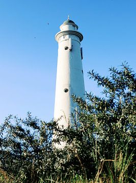 Schiermonnikoog - Der weiße Turm von Daniël Nelck