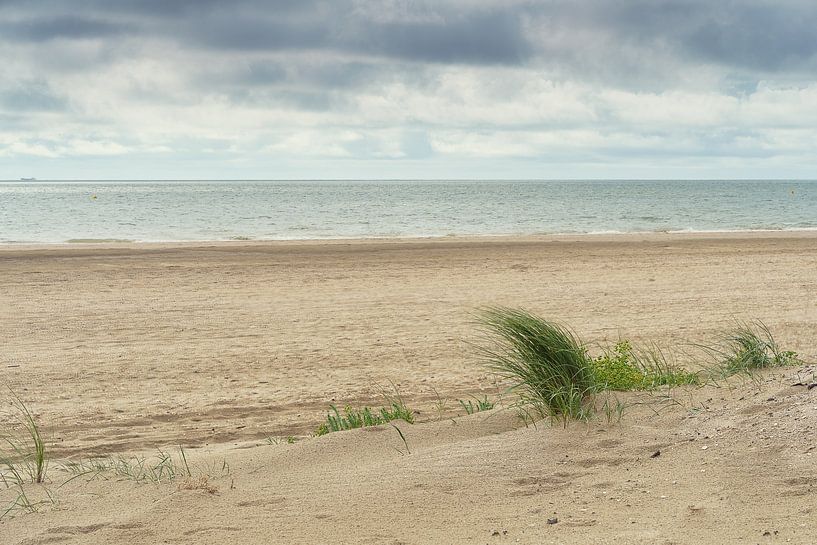 Rockanje Strand Meer Wind von Björn van den Berg