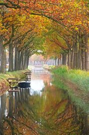 Autumn near a river with boat  in Friesland by Dirk-Jan Steehouwer