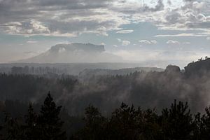 Lilienstein und Königstein im Nebel - Sächsische Schweiz