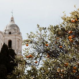 Sinaasappels in Malaga van Isis Sturtewagen
