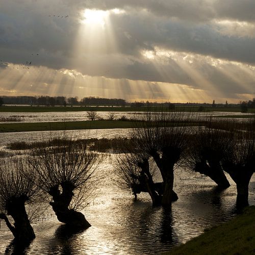 Lek, water & licht 2