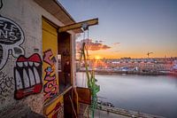 Concrete plant at sunset
