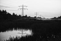 Hollands landschap in zwart wit