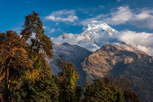 annapurna