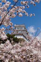 Kasteel Himeji