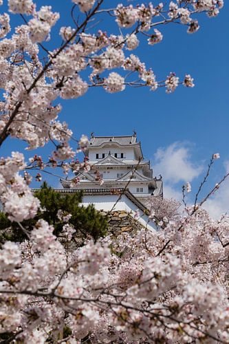 Kasteel Himeji