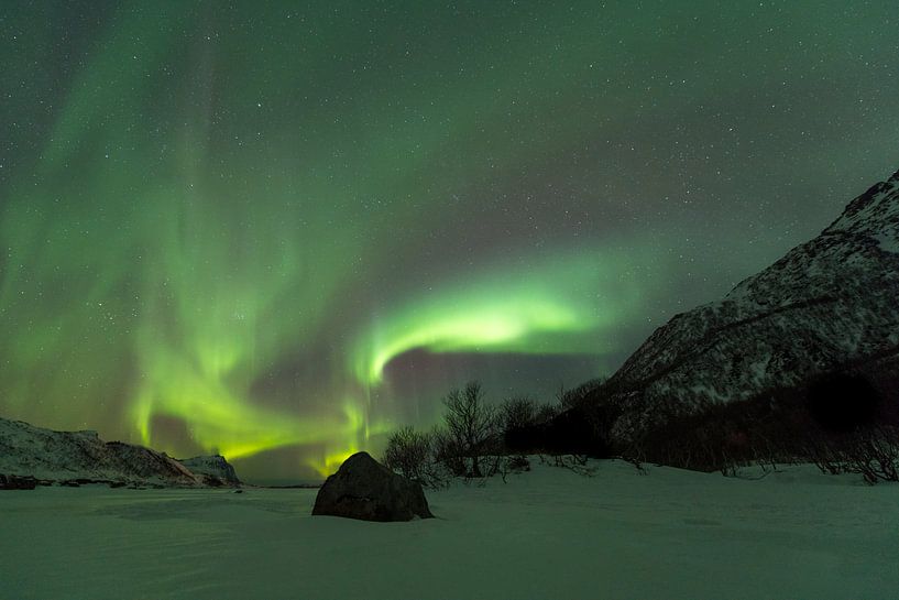 Noorderlicht boven een winterlandschap in de Lofoten in Noord-Noorwegen van Sjoerd van der Wal Fotografie