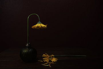 Death of A Relative by Darlene Hewson