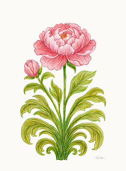 The Bloom and the Promise – Elegant Floral Fine Art Print - Silk Cream