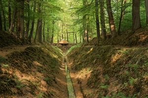 Crown Estates: der Regenschirmfluss im Schlosspark