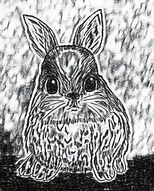 Dessin de lapin