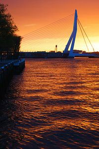Oranje kleuren bij zonsopkomst in Rotterdam
