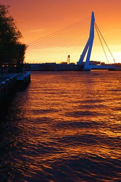 Oranje kleuren bij zonsopkomst in Rotterdam van Michel van Kooten