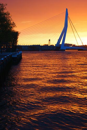 Oranje kleuren bij zonsopkomst in Rotterdam