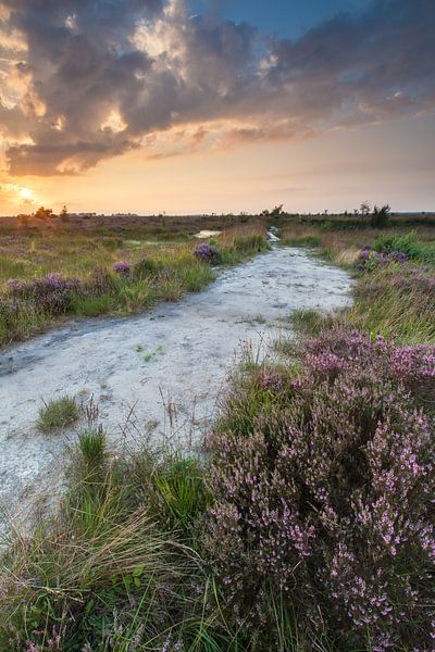 Zonsondergang op het Fochteloërveen van Ron Buist