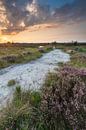 Zonsondergang op het Fochteloërveen van Ron Buist thumbnail