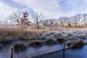 Winterochtend in Drenthe van Lea Wever