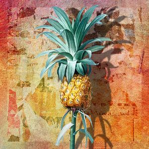 L'art de l'Pineapple von Marja van den Hurk