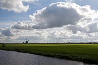 Dutch light (2)