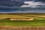 Een dobbe in het buitendijkse gebied van Friesland, Het Noorderleeg van Harrie Muis thumbnail