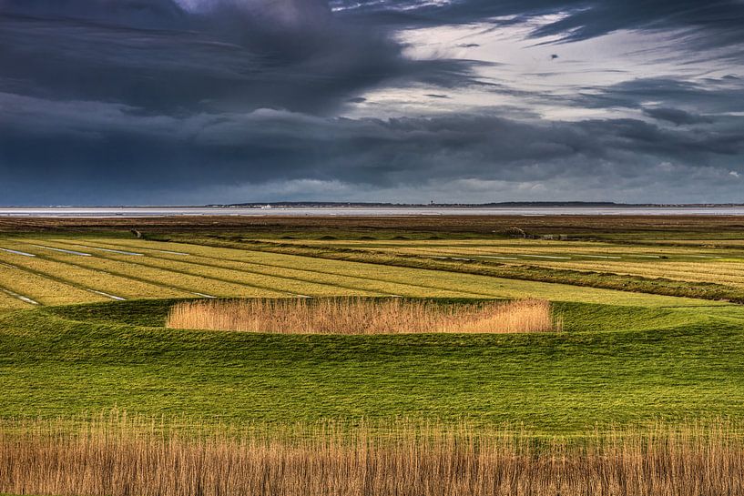Een dobbe in het buitendijkse gebied van Friesland, Het Noorderleeg van Harrie Muis