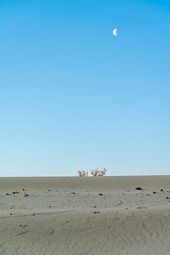 drunische Dünen von Peter Smeekens