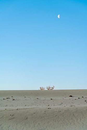 drunese dunes