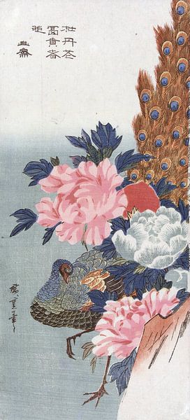 Pfau und Pfingstrosen, Hiroshige von 1000 Schilderijen