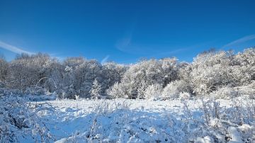 Winterlandschap van Bo Valentino