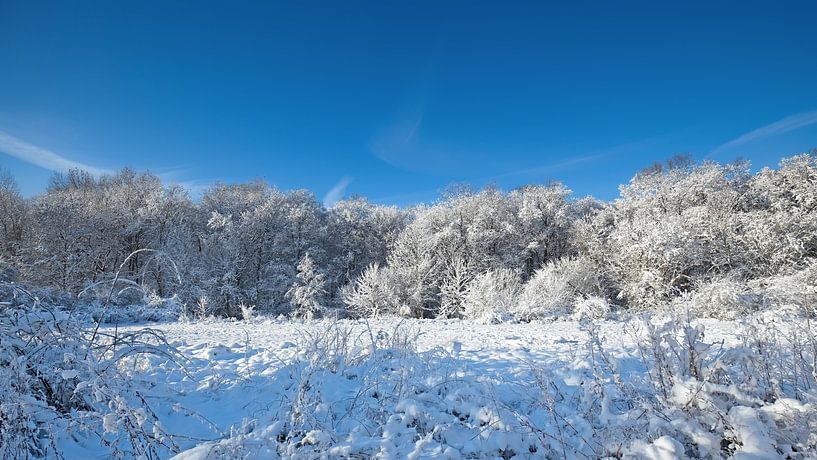 Winter landscape by Bo Valentino